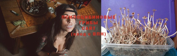 MESCALINE Аркадак