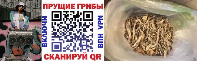 Галлюциногенные грибы Psilocybe  Купить  Белово 